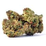 LA Kush Strains