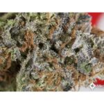 LA Confidential